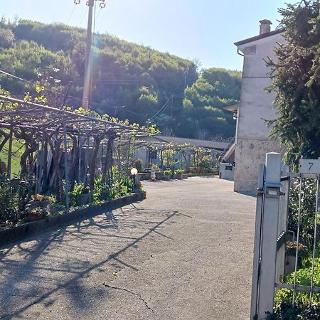 La Torretta - Incantevole Appartamento Nei Colli Berici Nanto Экстерьер фото