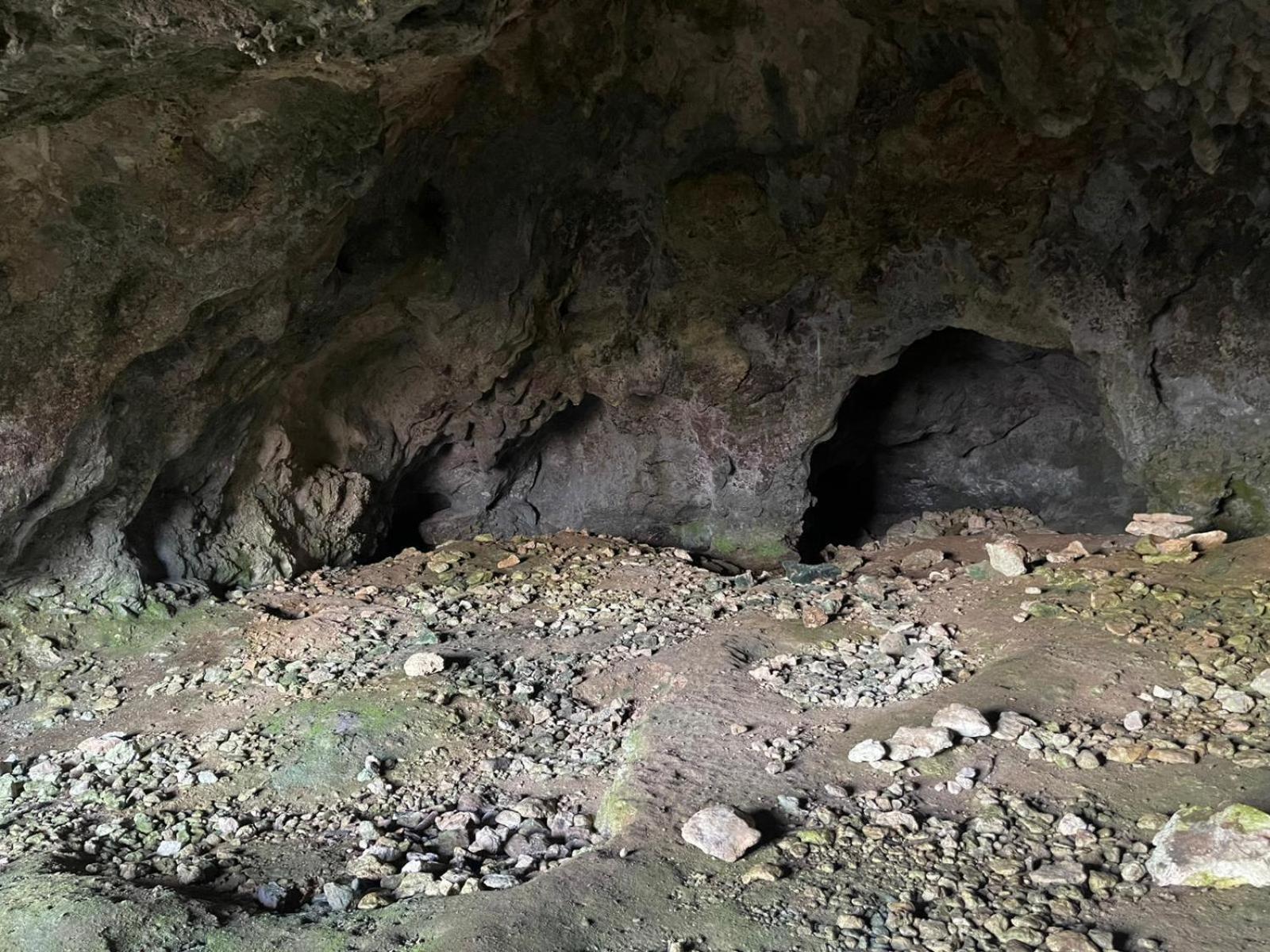 La Torretta - Incantevole Appartamento Nei Colli Berici Nanto Экстерьер фото