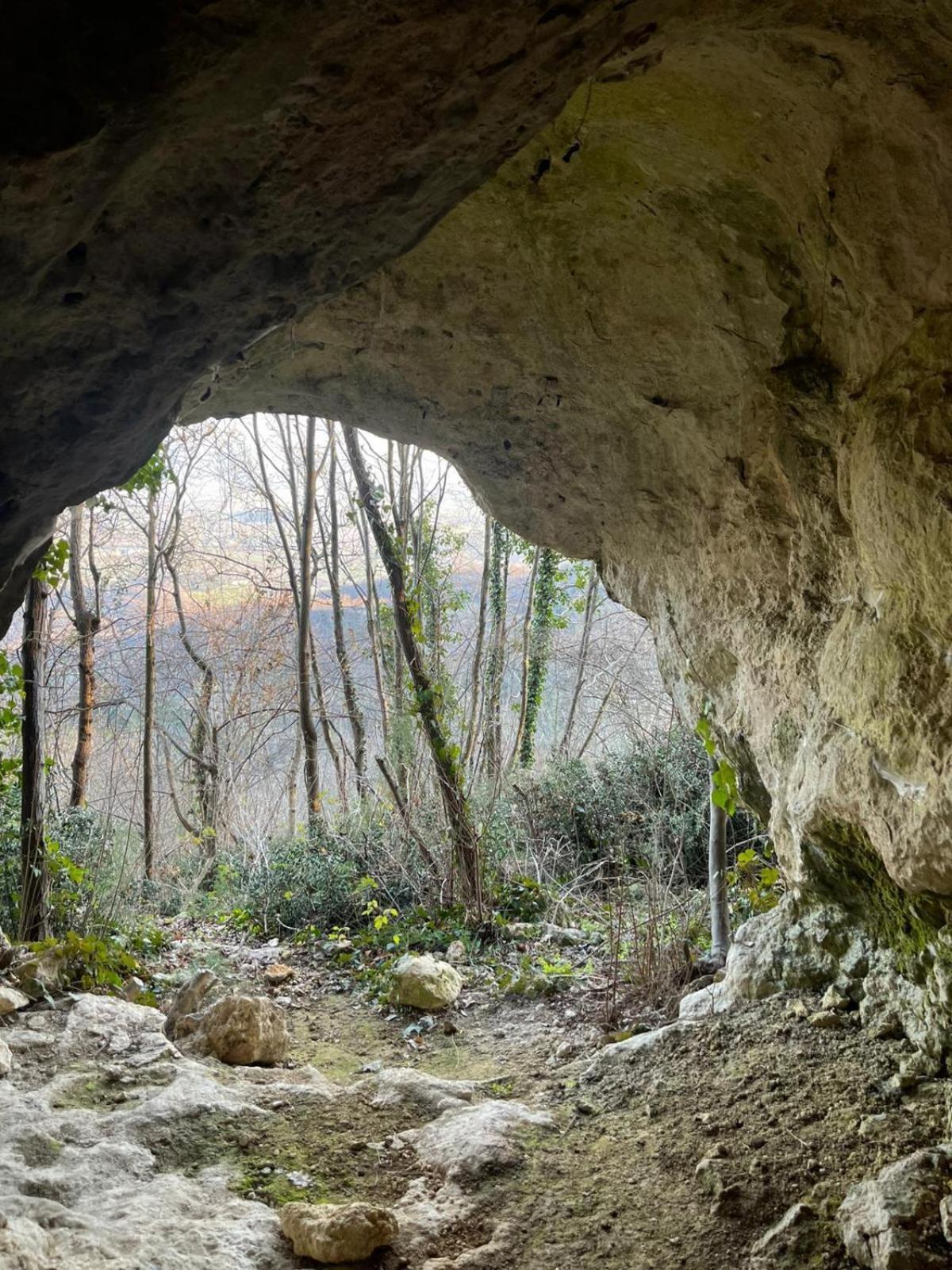 La Torretta - Incantevole Appartamento Nei Colli Berici Nanto Экстерьер фото
