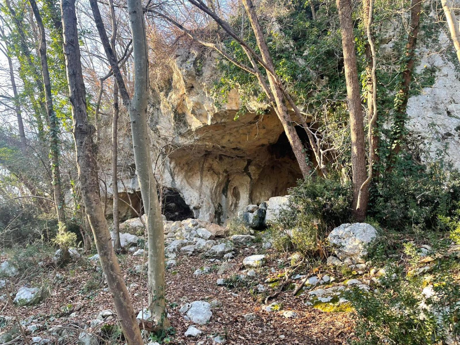 La Torretta - Incantevole Appartamento Nei Colli Berici Nanto Экстерьер фото